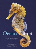 Cover: Ocean Planet - Rothery's Animal Planet Series