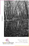 Cover: Auroras & Blossoms Creative Literary Journal: Issue 2 - Auroras & Blossoms