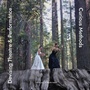 Cover: Devising Theatre and Performance - Intellect Books