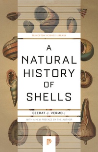 Abbildung von: A Natural History of Shells - Princeton University Press