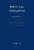 Cover: Kommentar - De Gruyter