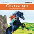 Cover: Ostwind - Ein r&auml;tselhafter Unfall - Der H&ouml;rverlag