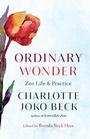 Cover: Ordinary Wonder - Shambhala