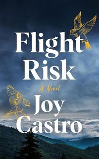 Enlarge image Cover: Flight Risk - Brilliance Audio