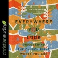 Cover: Everywhere You Look - Christianaudio