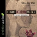 Cover: Healing Racial Trauma - Christianaudio