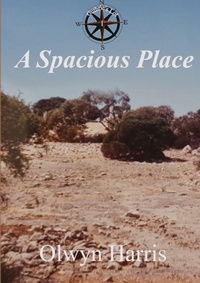 Enlarge image Cover: A Spacious Place - Reading Stones Publishing