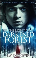 Cover: By The Light Of A Darkened Forest - Blurb