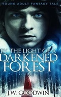 Cover: By The Light of a Darkened Forest - Blurb
