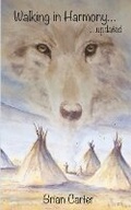 Cover: Walking in Harmony - Nielson UK ISBN Store