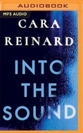 Cover: Into the Sound - Brilliance Audio