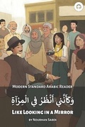 Cover: Like Looking in a Mirror - Lingualism