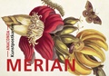 Cover: Postkarten-Set Maria Sibylla Merian - Anaconda Verlag
