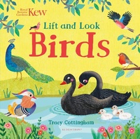Enlarge image Cover: Kew: Lift and Look Birds - Bloomsbury Activity Books