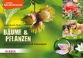 Cover: Kleine Waldentdecker: B&auml;ume & Pflanzen - Verlag Herder