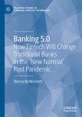 Cover: Banking 5.0 - Palgrave Macmillan