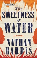 Cover: The Sweetness of Water - Little Brown and Company