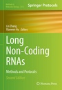 Cover: Long Non-Coding RNAs - Springer