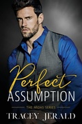 Cover: Perfect Assumption - Tracey Jerald