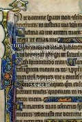 Cover: Studies in Manuscript Illumination, 1200-1400 - Pindar Press