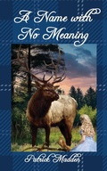 Cover: A Name with No Meaning - Virtualbookworm.com Publishing