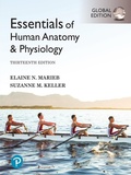 Cover: Essentials of Human Anatomy & Physiology, Global Edition - Pearson Education Limited