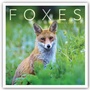 Cover: Foxes - Füchse 2022 - Brown Trout-Auslieferer Flechsig