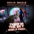 Cover: Tiger in the Sky - Blackstone Publishing