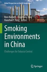 Enlarge image Cover: Smoking Environments in China - Springer