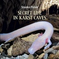 Cover: Secret Life in Karst Caves - Pipin's Book