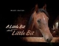 Cover: A Little Bit About Little Bit - Bookbaby