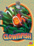 Cover: Clownfish - Av2