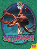 Cover: Octopuses - Av2