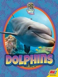 Cover: Dolphins - Av2