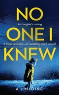 Cover: No One I Knew - Cherry Tree Publishing