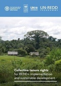Cover: Collective tenure rights for REDD+ implementation and sustainable development - Food & Agriculture Organization of the United Nations (FAO)