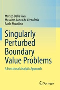 Cover: Singularly Perturbed Boundary Value Problems - Springer