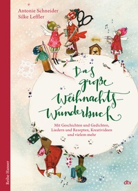 Abbildung von: Das große WeihnachtsWunderBuch - dtv