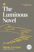 Cover: The Luminous Novel - And Other Stories