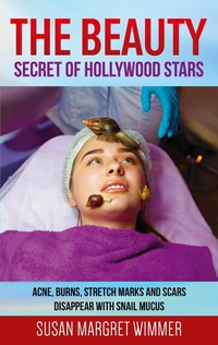 Abbildung von: The Beauty - Secret of Hollywood Stars - Books on Demand