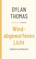 Cover: Windabgeworfenes Licht - Hanser