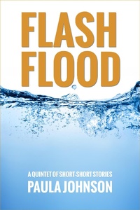 Enlarge image Cover: Flash Flood - Paula Johnson