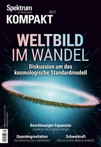 Abbildung von: Spektrum Kompakt - Weltbild im Wandel - Spektrum der Wissenschaft