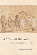 Cover: A Stroll in the Rain - Zando - Crooked Media Reads