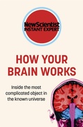 Cover: How Your Brain Works - John Murray One
