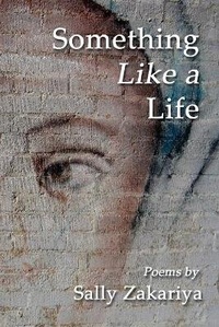 Enlarge image Cover: Something Like a Life - Gyroscope Press