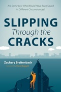 Cover: Slipping Through the Cracks - Wipf & Stock Publishers