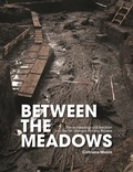 Cover: Between the Meadows - Transport Infrastructure Ireland (TII)