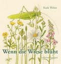 Cover: Wenn die Wiese bl&uuml;ht - edition bodoni