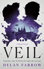 Cover: Veil - Wednesday Books